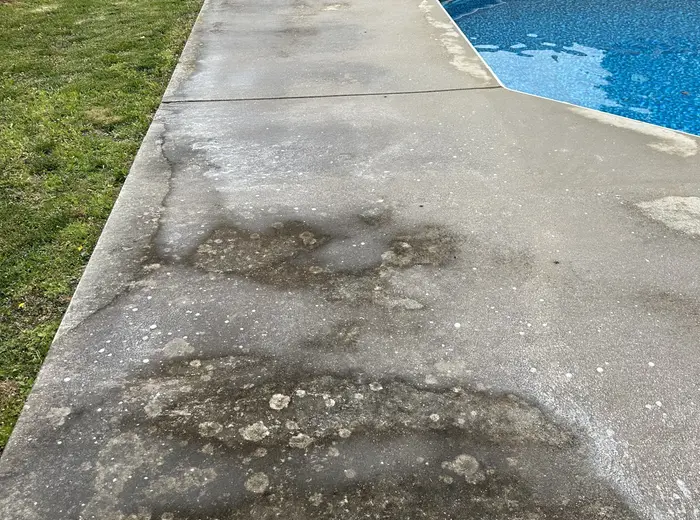 Pool deck concrete covered in lichen and dark staining