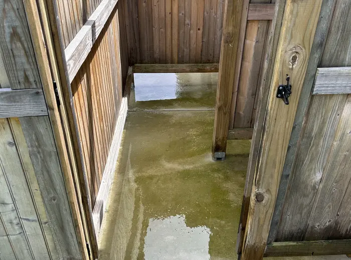 Concrete under a deck covered in green algae