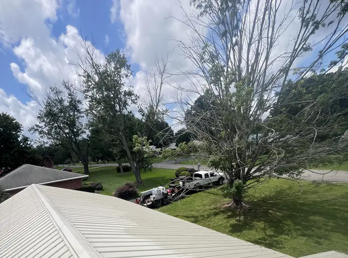 Clean roofline and gutters after brightening, Winchester TN